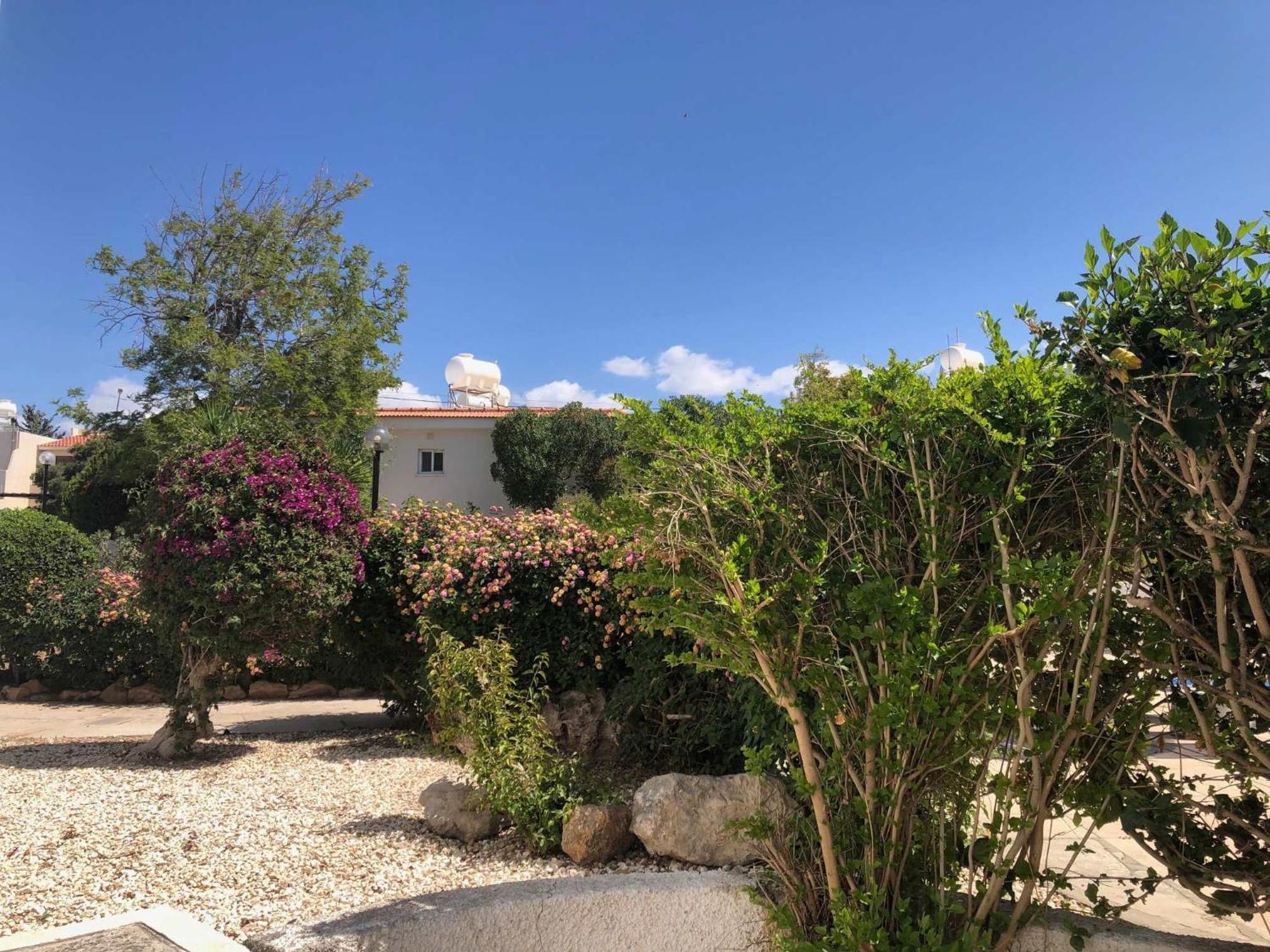 Elegant Beachside - 1 Min Walk To Venus Paphos